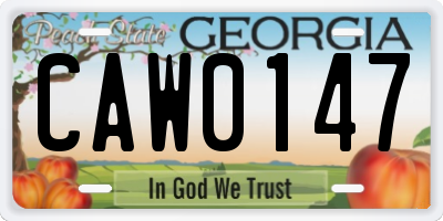 GA license plate CAW0147