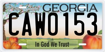 GA license plate CAW0153