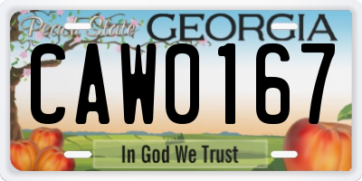 GA license plate CAW0167