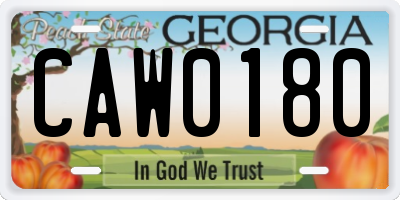 GA license plate CAW0180