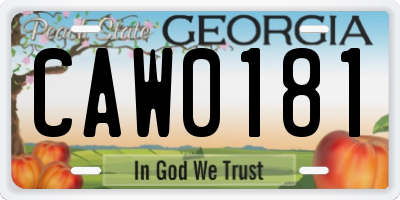 GA license plate CAW0181