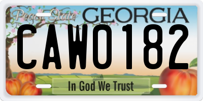 GA license plate CAW0182