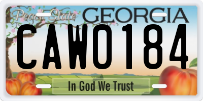 GA license plate CAW0184