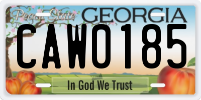 GA license plate CAW0185