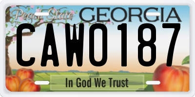 GA license plate CAW0187