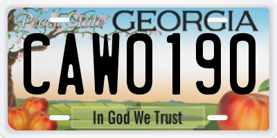 GA license plate CAW0190