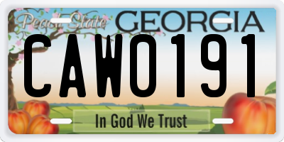 GA license plate CAW0191