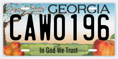 GA license plate CAW0196