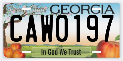 GA license plate CAW0197