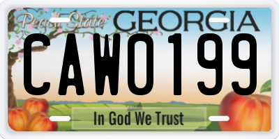 GA license plate CAW0199