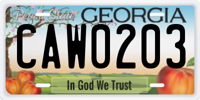 GA license plate CAW0203