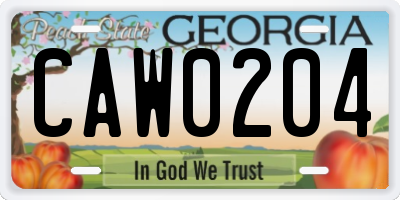 GA license plate CAW0204