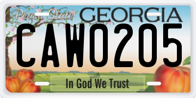 GA license plate CAW0205