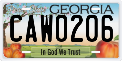 GA license plate CAW0206