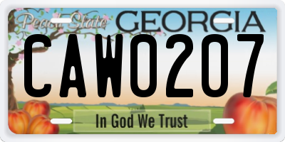 GA license plate CAW0207