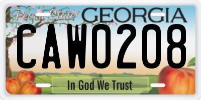 GA license plate CAW0208