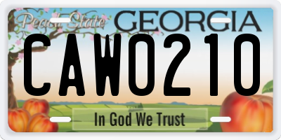 GA license plate CAW0210