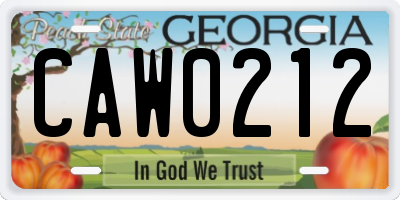 GA license plate CAW0212