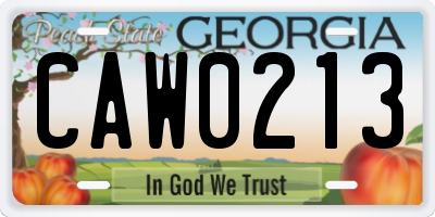 GA license plate CAW0213