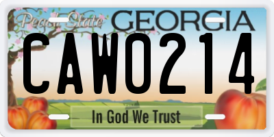 GA license plate CAW0214