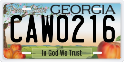 GA license plate CAW0216