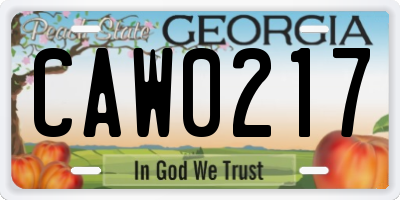 GA license plate CAW0217