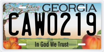 GA license plate CAW0219