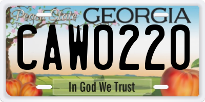 GA license plate CAW0220