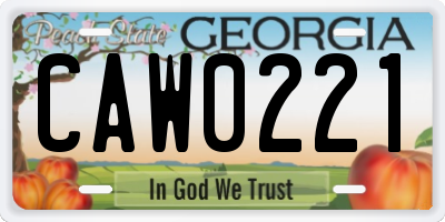 GA license plate CAW0221