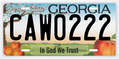 GA license plate CAW0222