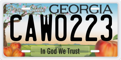 GA license plate CAW0223