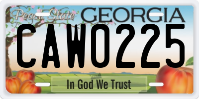 GA license plate CAW0225