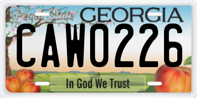 GA license plate CAW0226