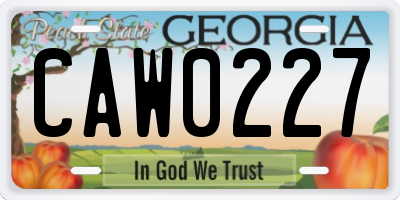 GA license plate CAW0227