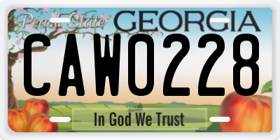 GA license plate CAW0228