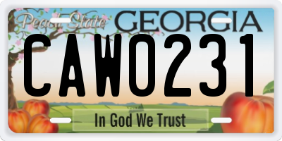 GA license plate CAW0231
