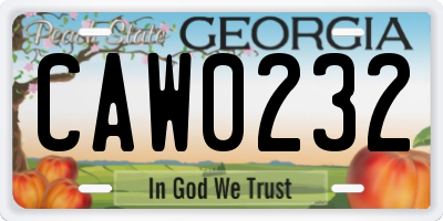 GA license plate CAW0232