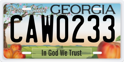 GA license plate CAW0233