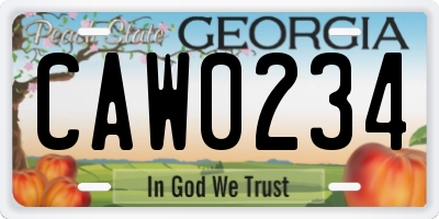 GA license plate CAW0234