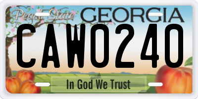 GA license plate CAW0240