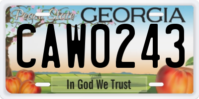 GA license plate CAW0243