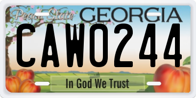 GA license plate CAW0244