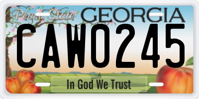 GA license plate CAW0245