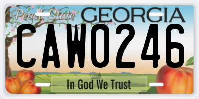 GA license plate CAW0246