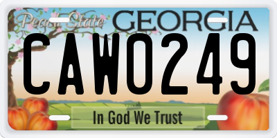 GA license plate CAW0249