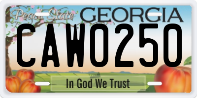 GA license plate CAW0250