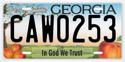 GA license plate CAW0253