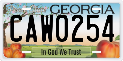 GA license plate CAW0254