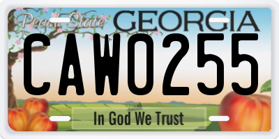 GA license plate CAW0255