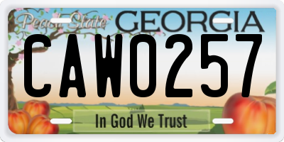 GA license plate CAW0257